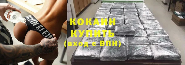шишки Нея
