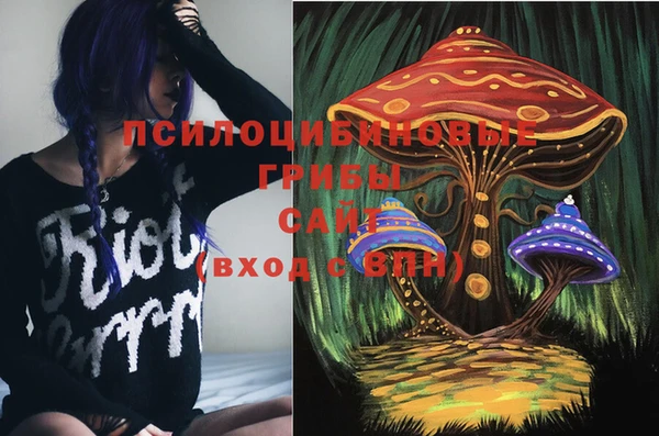 ECSTASY Алексеевка