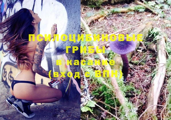ECSTASY Алексеевка