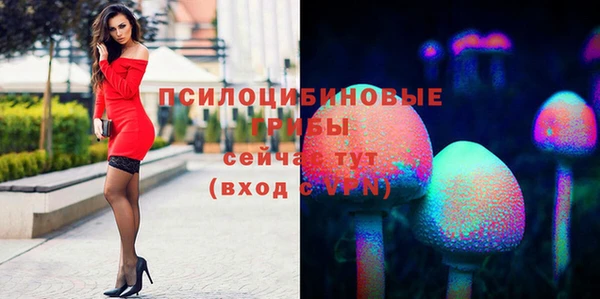 соль ск Нефтегорск