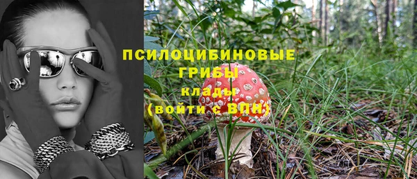 молекула духа Нефтекумск